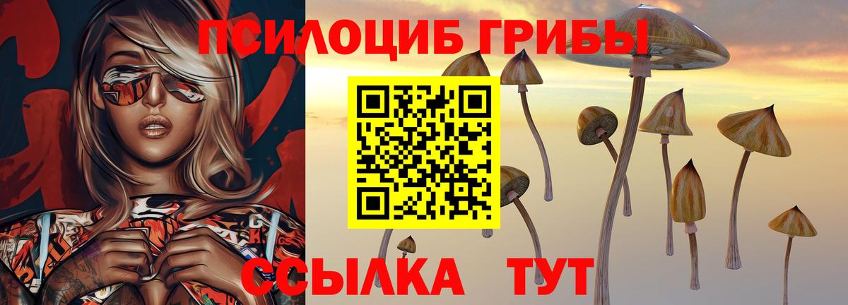Верхний Уфалей  Псилоцибиновые грибы Psilocybine cubensis  Вход с VPN 